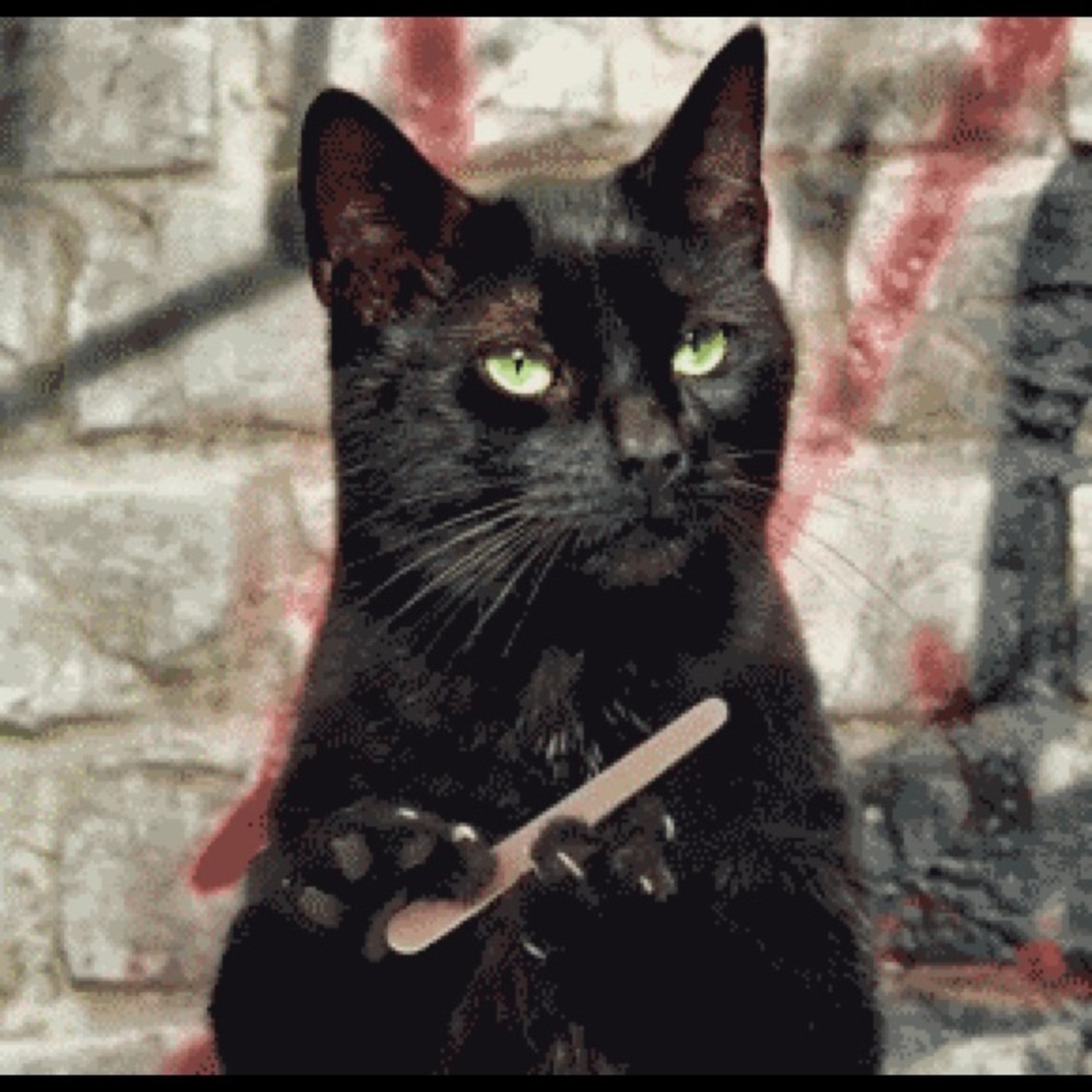 Meet your Posher, Kimberly